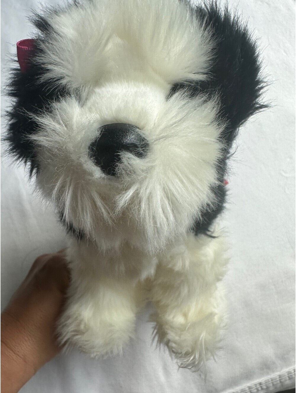 Douglas fluffy Black And White Shih Tzu Plush 10”